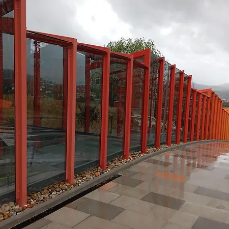 Galeguina * فيجو